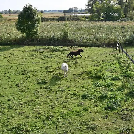 In - Insel Ruegen 41511 *