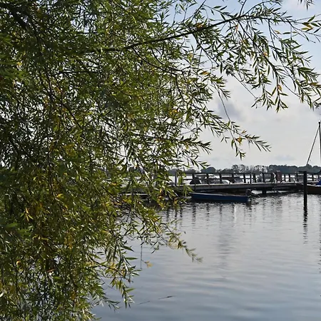 In - Insel Ruegen 41511 *