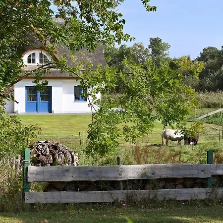 Дом отдыха In - Insel Ruegen 41511 *