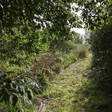 In - Insel Ruegen 41511 Позериц