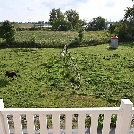 In - Insel Ruegen 41511 Дом отдыха Позериц