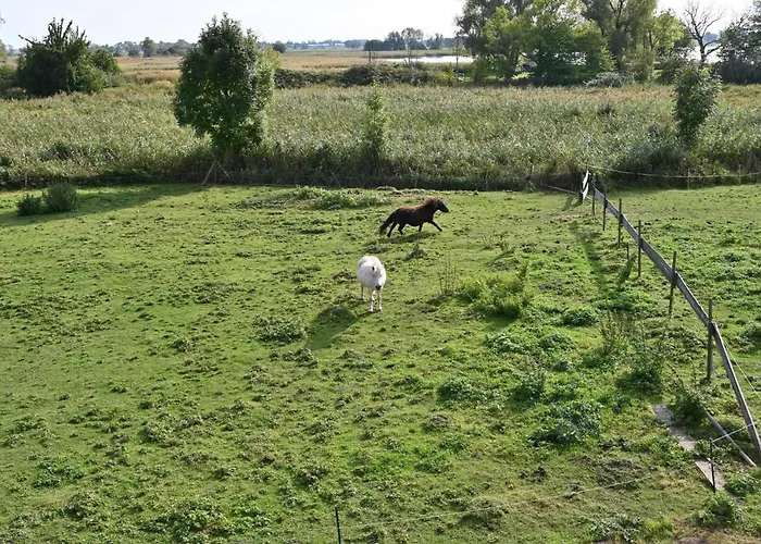 In - Insel Ruegen 41511 *