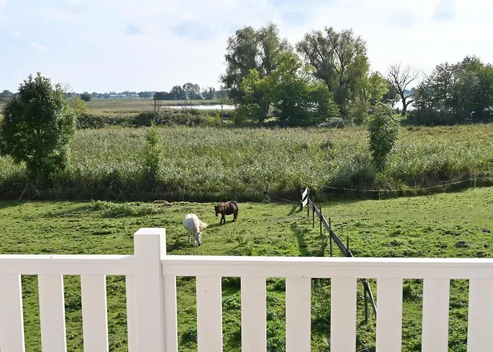 別荘 In - Insel Ruegen 41511 *