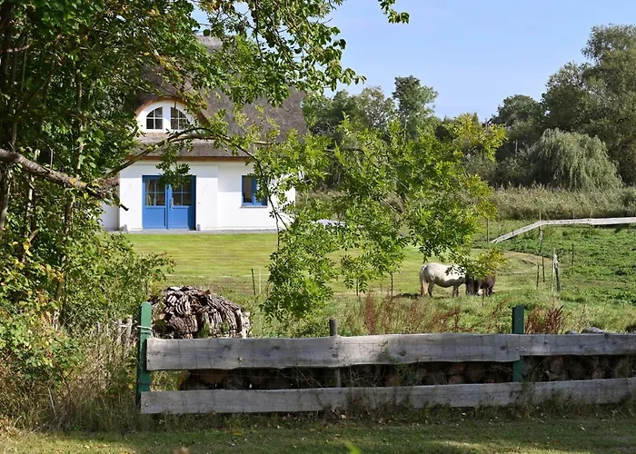 別荘 In - Insel Ruegen 41511 *