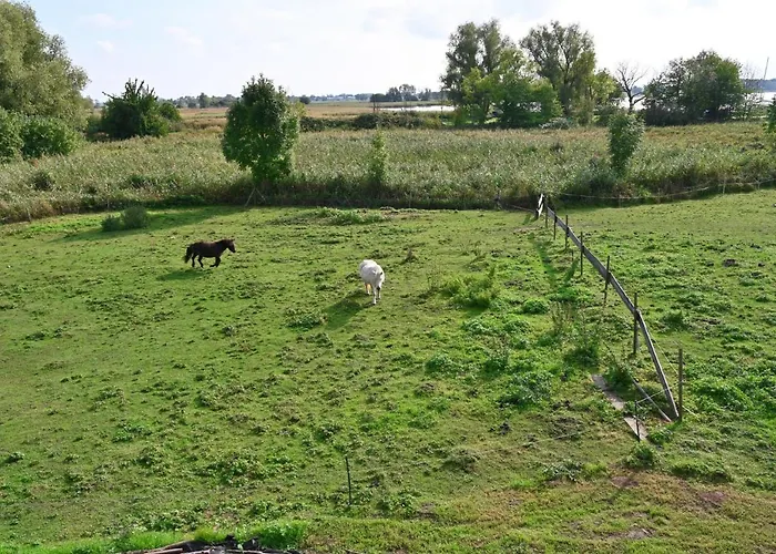 In - Insel Ruegen 41511 別荘