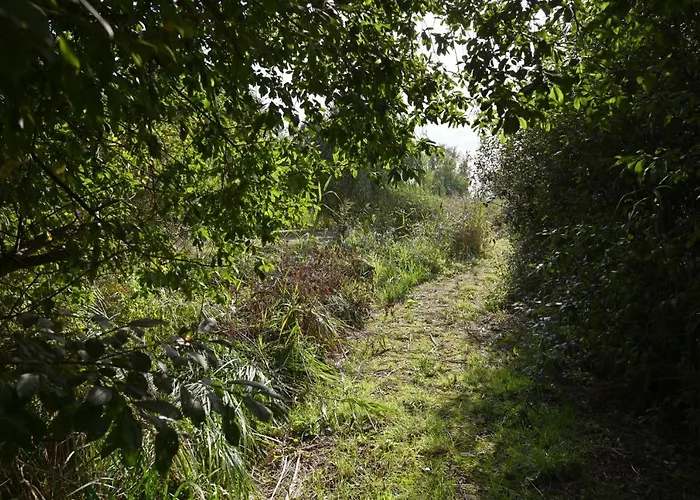 In - Insel Ruegen 41511 Poseritz