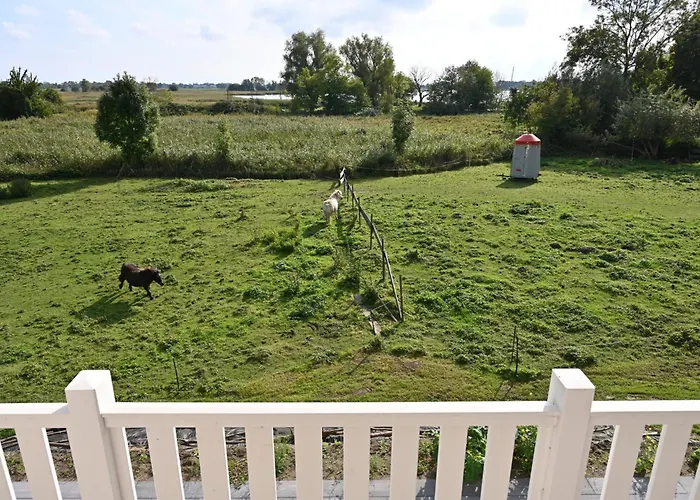 In - Insel Ruegen 41511 別荘 Poseritz